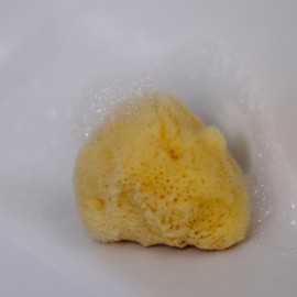 Eponges Naturelles pour le Visage de chez Croll & Denecke