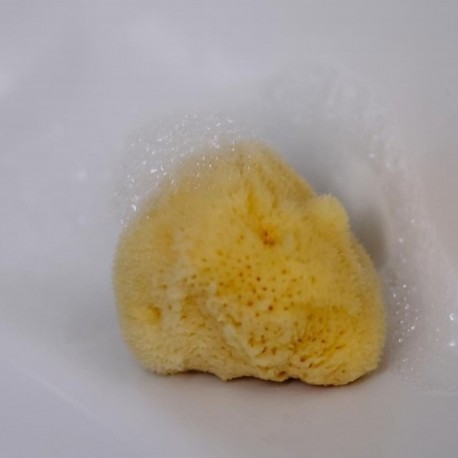 Eponges Naturelles pour le Visage de chez Croll & Denecke